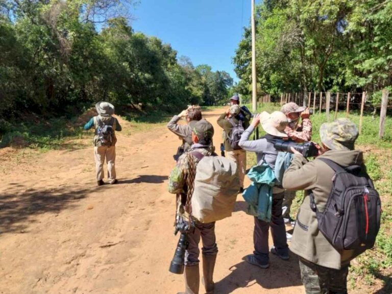 ituzaingo-deslumbra-con-el-avistaje-de-mas-de-430-aves-autoctonas