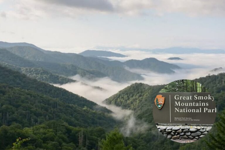 Este increíble Parque Nacional de Carolina del Norte se ubicó entre los mejores de EE.UU.