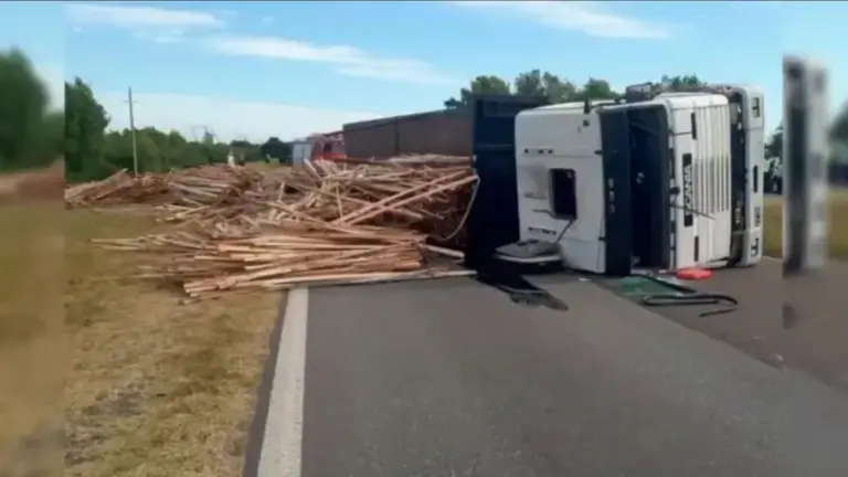 Un camión que transportaba madera volcó en ruta 12.