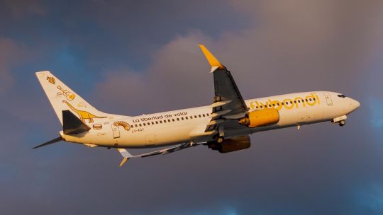 Flybondi.FAIL: crearon una web que informa vuelos cancelados y demorados de la aerolínea low cost