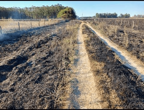 Goya: nuevos incendios intencionales en parajes rurales