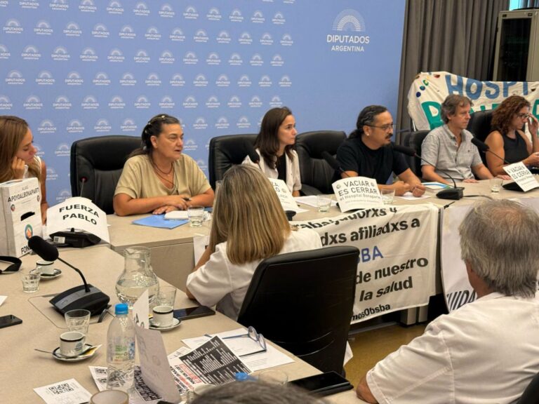 Diputados: importante Audiencia Pública en defensa del Hospital Laura Bonaparte