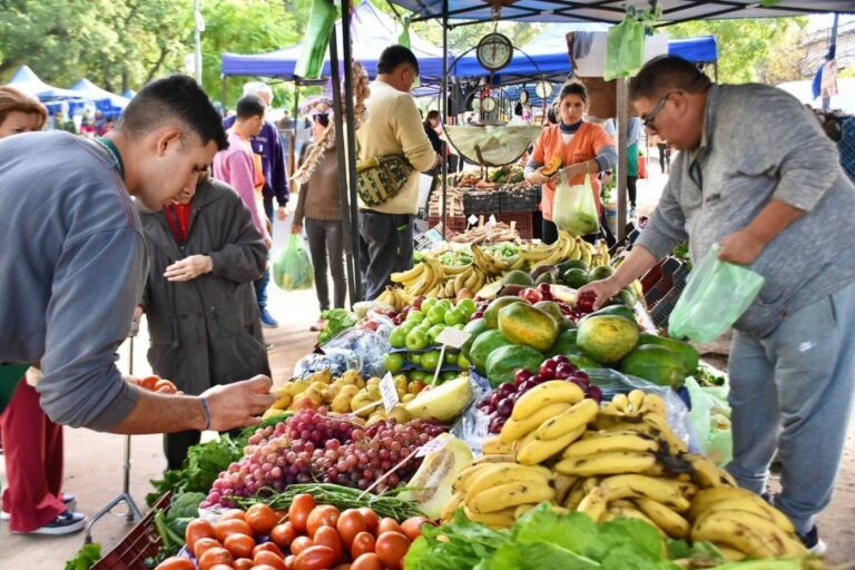 Recorridos de la Feria de la Ciudad esta semana.