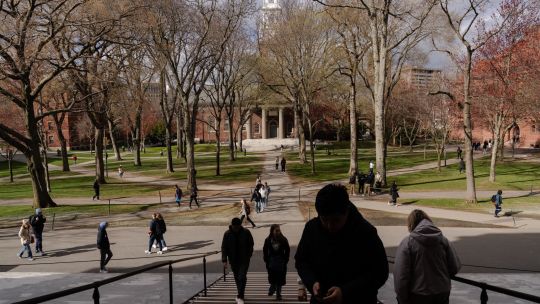 Donald Trump volvió a atacar a la Universidad de Harvard: Desastre liberal