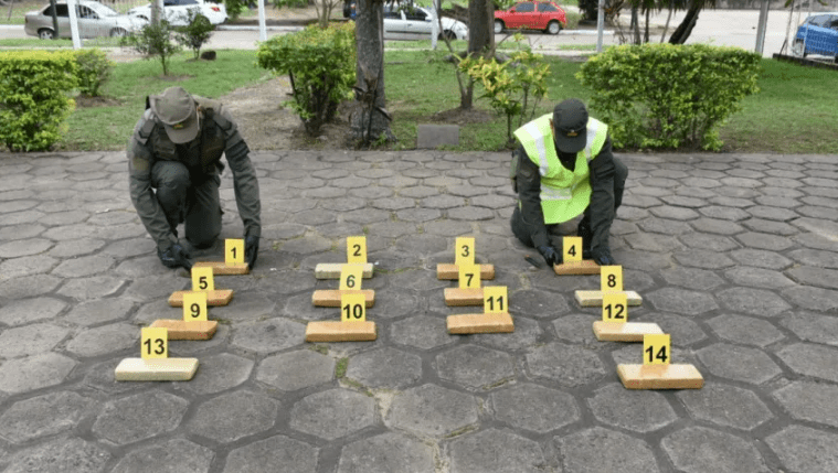 Corrientes: el can Sonic marcó una encomienda que contenía 12 kilos de droga