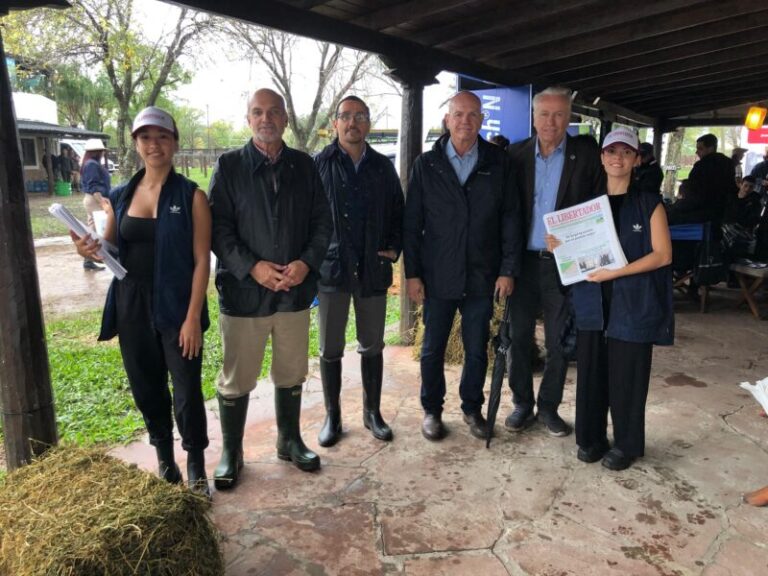 Expoagro: el auge de la Braford y la calidad única de los remates