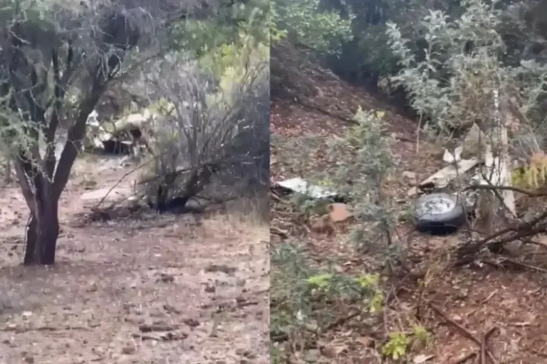 Chile: se accidentó una avioneta ambulancia y la hallaron sin sobrevivientes