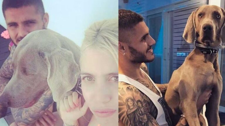Aseguran que Mauro Icardi incineró a un perro de la familia frente a sus hijas