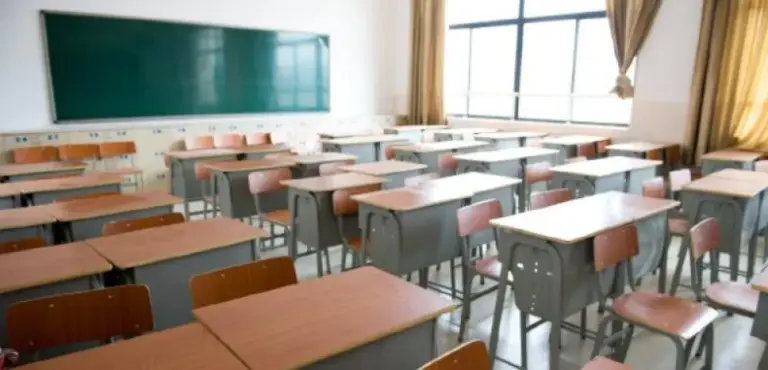 Y si la escuela no fuera obligatoria?