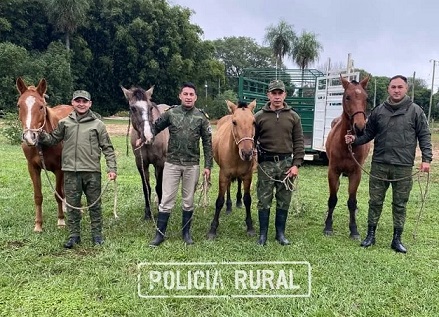 Dos demorados, caballos recuperados y carne faenada