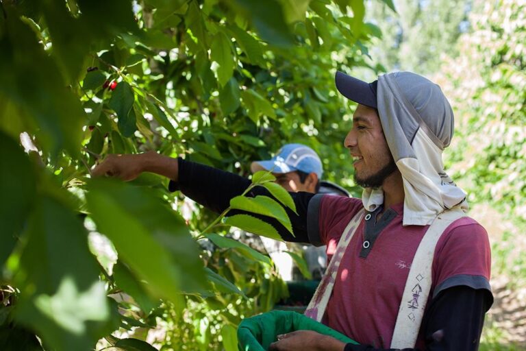 Empresas agropecuarias: presentaron una certificación de prácticas laborales sostenibles
