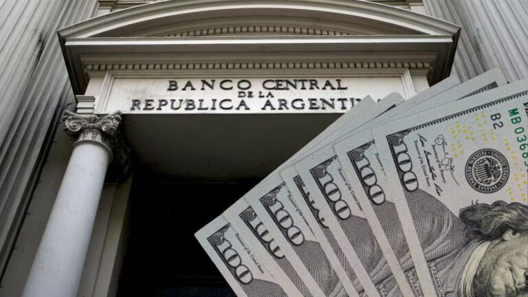 Dólar: las señales de alerta que dejó el último balance del BCRA