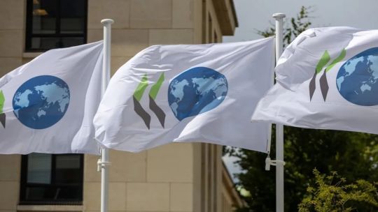 La recomendación de la OCDE para la Argentina sobre una reforma tributaria integral