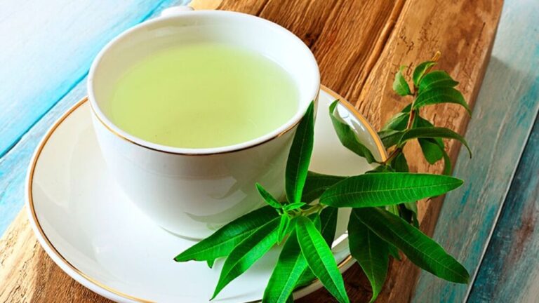 La infusión ideal para la recuperación muscular después del ejercicio