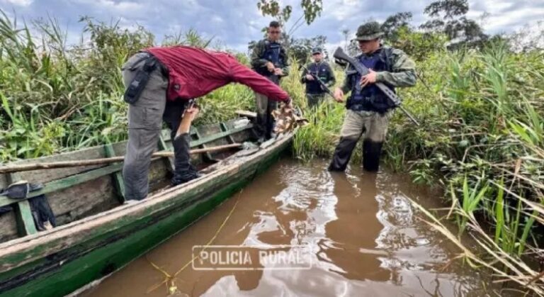Abigeato: Hallaron campamento y ruta de escape que se habrían utilizado para los delitos