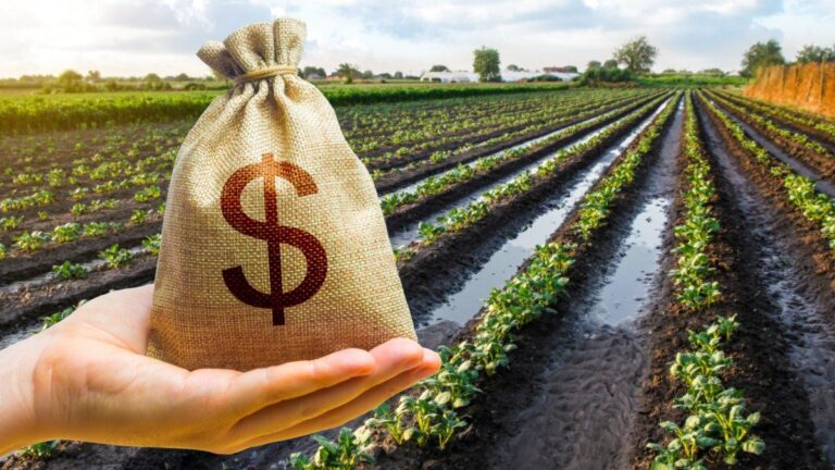 El Gobierno oficializó la baja de retenciones a la soja, maíz, girasol y la carne