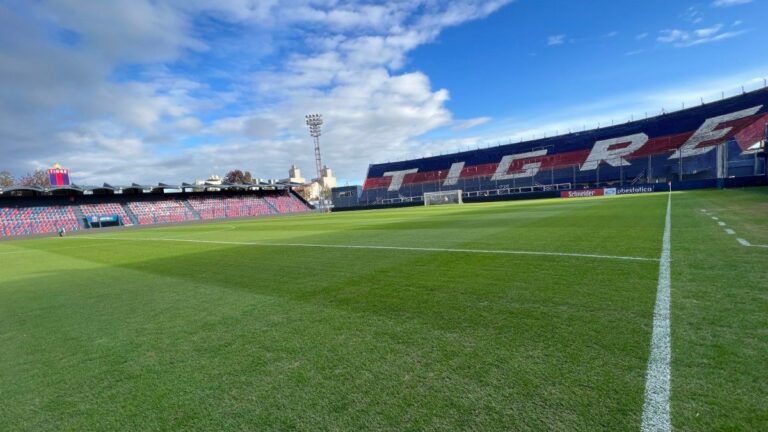 Fútbol libre por celular: cómo ver en vivo Tigre vs. Huracán