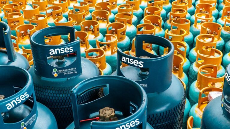 El programa ANSES que continúa vigente en agosto: quiénes pueden acceder