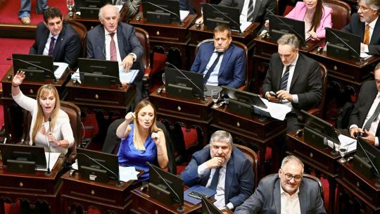 Garrahan y universidades: el Senado debatirá los proyectos en comisiones el próximo martes