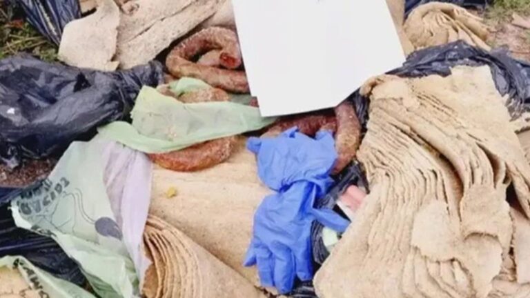 Santiago del Estero: detienen a un hombre por vender milanesas de papel higiénico