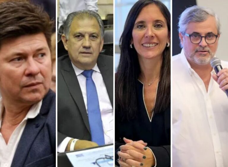 Cómo votaron los diputados correntinos la Ley de Discapacidad