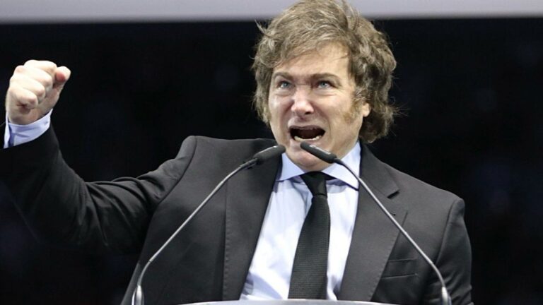 El Gobierno vetó las leyes de financiamiento universitario y de emergencia pediátrica