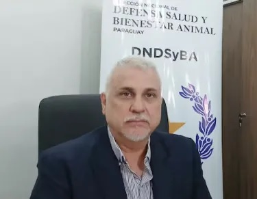 En Paraguay HALLOWEEN es problemático con los animales