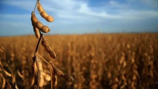 Carlos Etchepare: Estamos frente a un récord productivo, pero con beneficios muy escasos para los productores