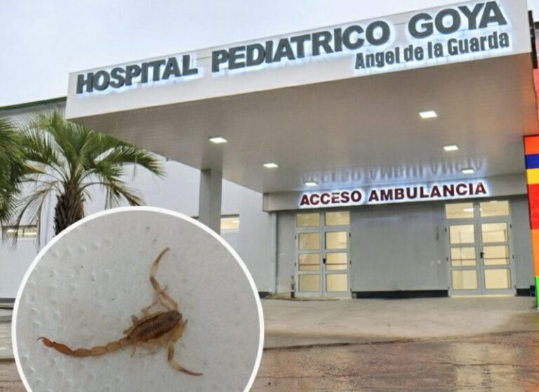 Santa Lucía: un niño de 4 años, hospitalizado tras el ataque de un alacrán