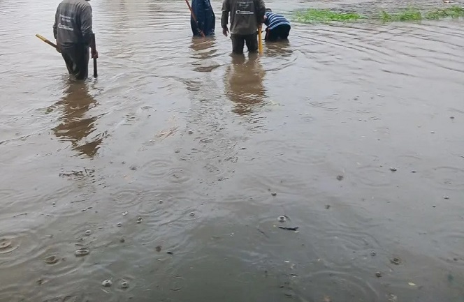 Calles inundadas, colectivos detenidos y cortes de luz en la ciudad