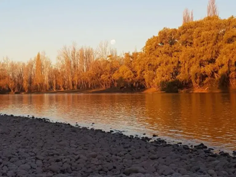 Un adolescente murió cuando nadaba en el río Limay