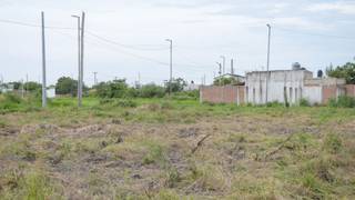 Operativo de limpieza en un terreno baldío de la ciudad de Corrientes