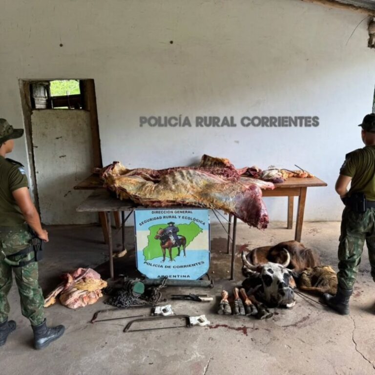 Operativo policial de decomiso de carne en un predio rural de El Perichón, Corrientes