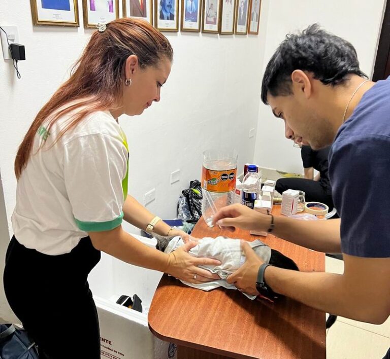 Operativo de atención veterinaria y equipo de salud durante la jornada en Loreto, Corrientes.