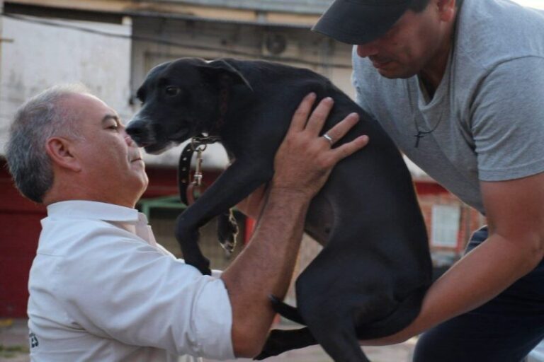 Diputado Cuqui Calvano presenta proyecto de ley sobre animales como seres sintientes en Corrientes