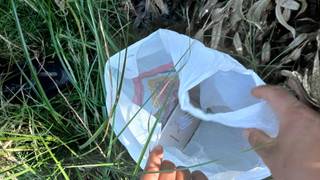 Operativo policial de búsqueda en zona de arbustos, referencia al caso de Mburucuyá.