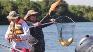 Embarcaciones participantes en el Torneo Apertura del Dorado, Paso de la Patria, Corrientes
