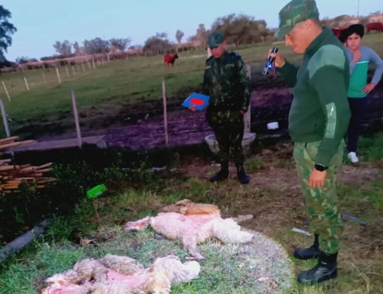 Policía Rural de Curuzú Cuatiá en operativo contra faena clandestina