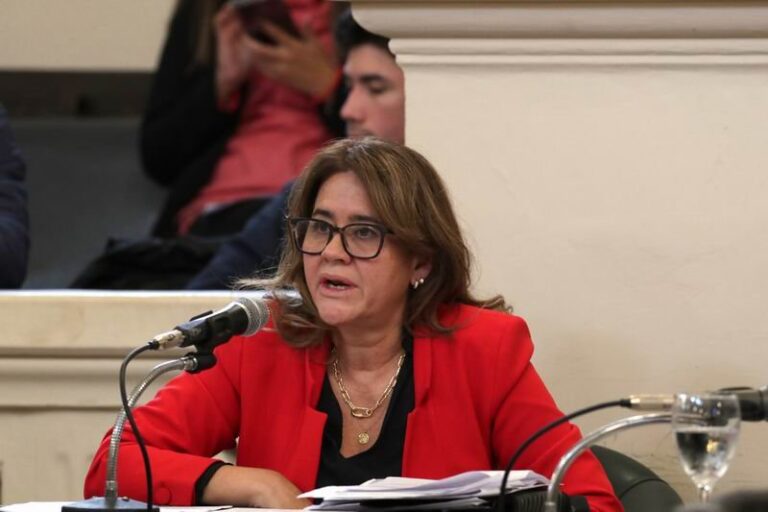 Diputada Lorena Lazaroff en la Cámara de Diputados de Corrientes