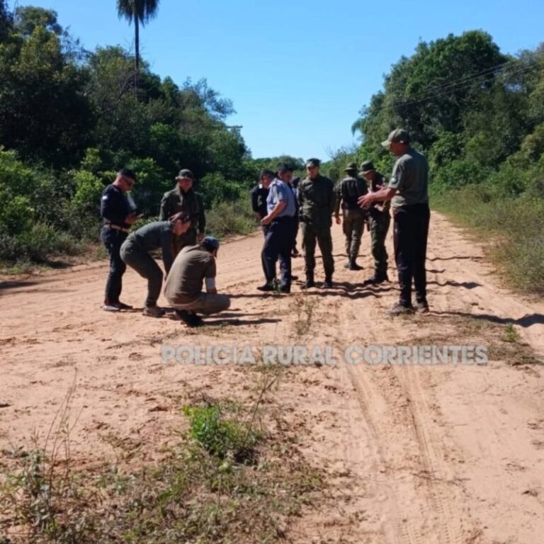 Rastros de puma en Isla Apipé durante operativo de seguridad rural