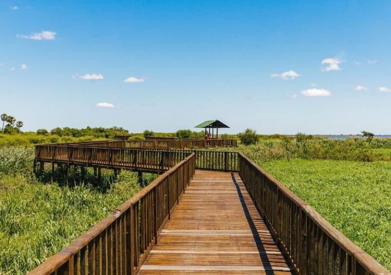 Turistas en los esteros del Iberá, Corrientes
