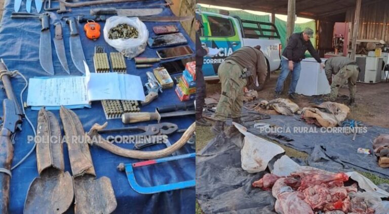 Campo rural en Corrientes con ganado vacuno