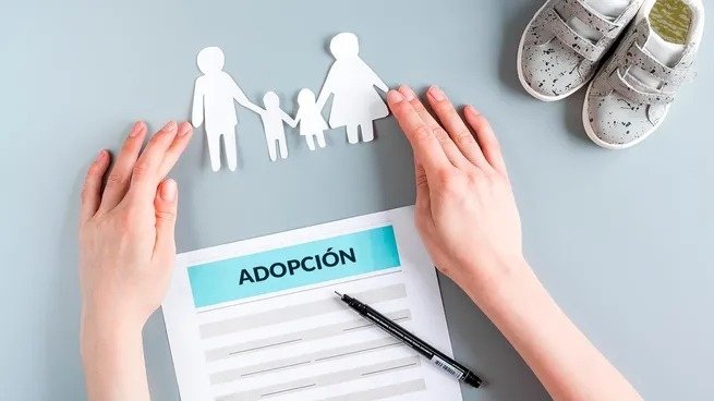 Personas en una capacitación virtual sobre adopción