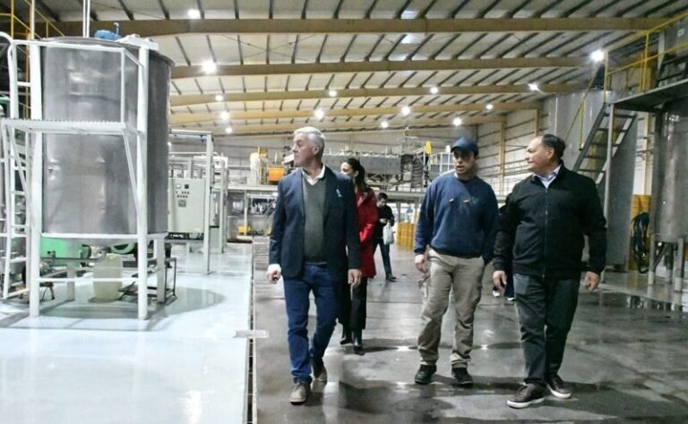 Planta industrial de UTE BV S.A. en Bella Vista procesando limones