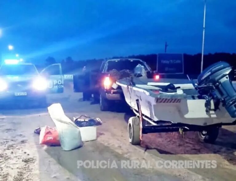 Control policial en ruta con vehículo y especies incautadas