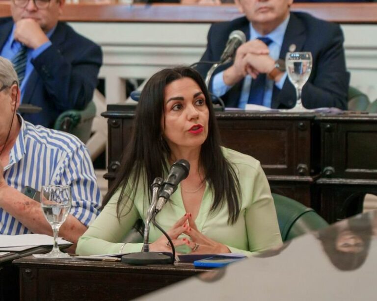 Sesión de la Cámara de Diputados de Corrientes
