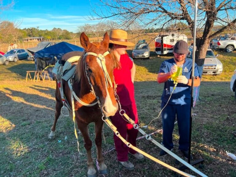 Ambulancia del operativo sanitario durante la peregrinación a Itatí