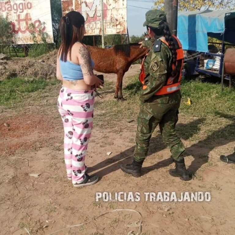 Policías revisan un caballo durante la peregrinación a Itatí
