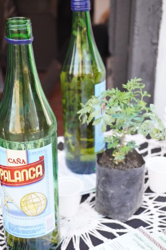 Botella de caña con ruda y rama de ruda sobre una mesa