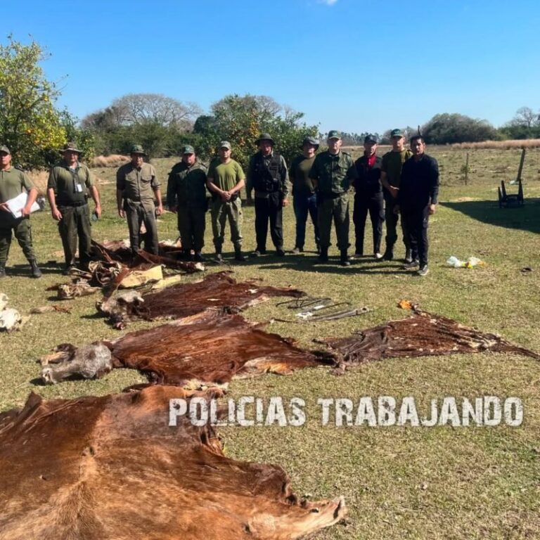 Vista del operativo policial en un establecimiento rural de Saladas, con evidencias de faena clandestina